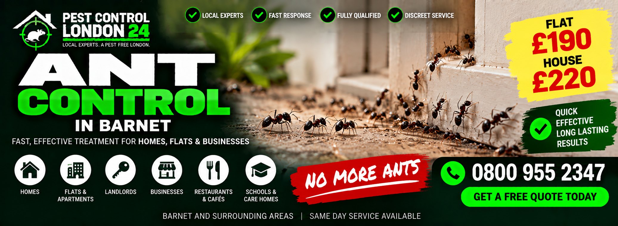 Ant Control Barnet — Pest Control London 24. Ant treatment £190 for a flat, £220 for a house. Call 0800 955 2347.