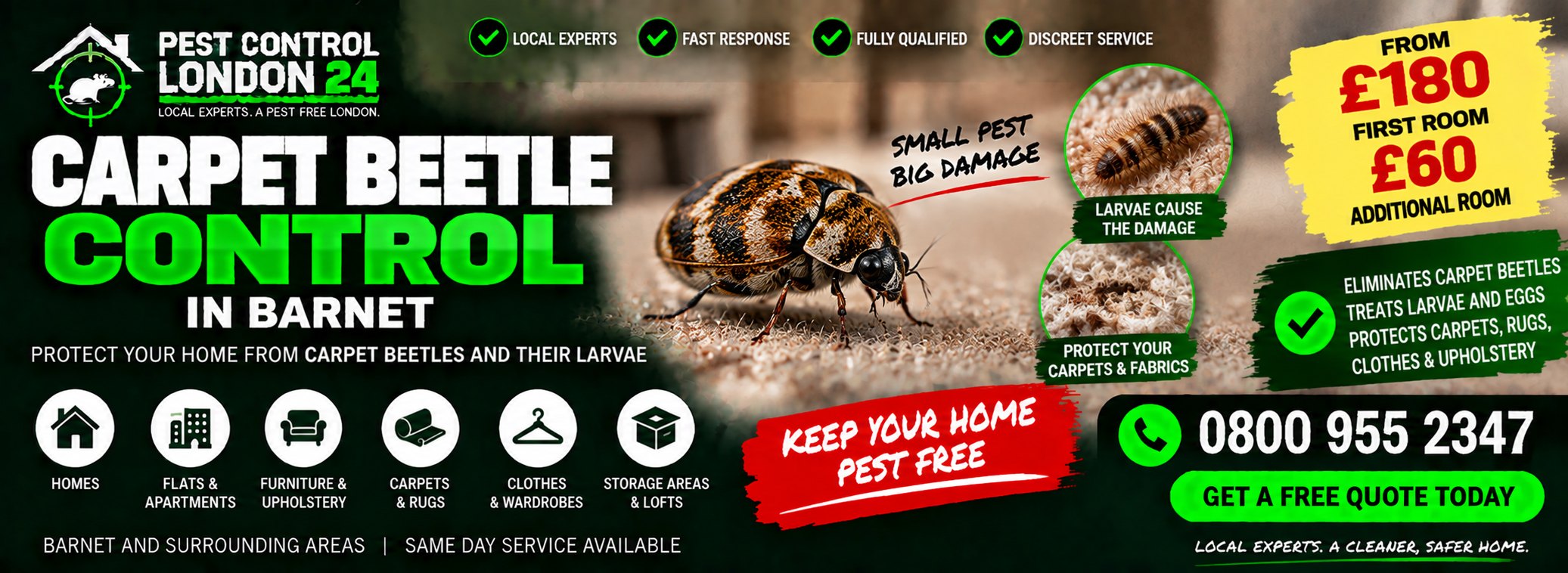 Carpet Beetle Control Barnet — Pest Control London 24. Carpet beetle treatment £180 first room, £60 each additional room. Call 0800 955 2347.