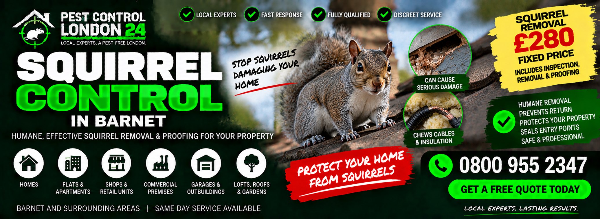 Squirrel Control Barnet — Pest Control London 24. Squirrel trapping service £280. Call 0800 955 2347.