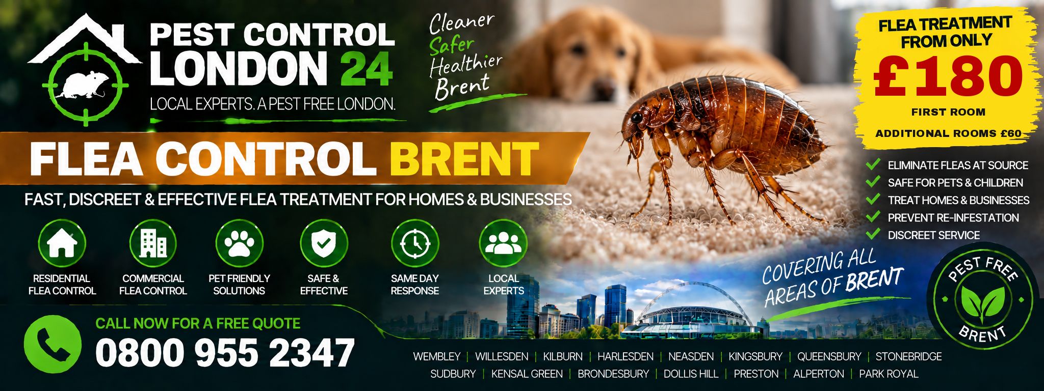 Flea Control Brent — Pest Control London 24. Flea treatment £180 first room, £60 each additional room. Call 0800 955 2347.
