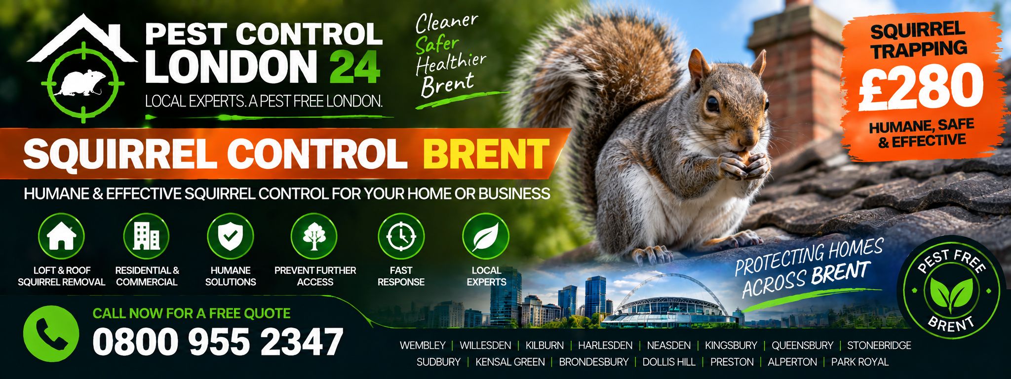 Squirrel Control Brent — Pest Control London 24. Squirrel trapping service £280. Call 0800 955 2347.