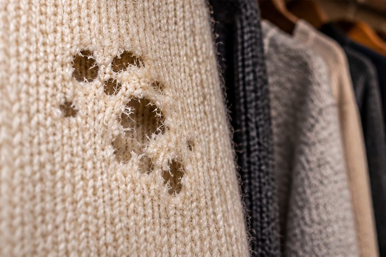 Holes eaten in a knitted jumper