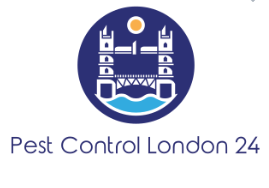 pest control london 24